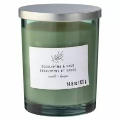 Best deal ❤️ 8 Pack: Eucalyptus & Sage 2-Wick Jar Candle by Ashland® 🤩