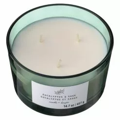 New 🤩 8 Pack: Eucalyptus & Sage 3-Wick Jar Candle by Ashland® ⭐ -Michaels Store MP638411 31