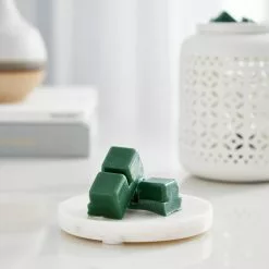 Top 10 🔥 12 Pack: Eucalyptus & Sage Wax Melts by Ashland® 🥰 -Michaels Store MP639288 20